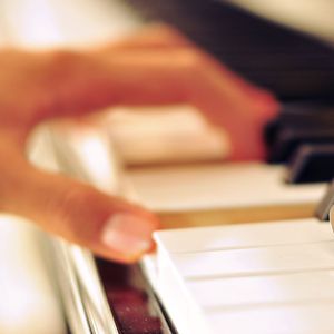 共享行业小狐导航
