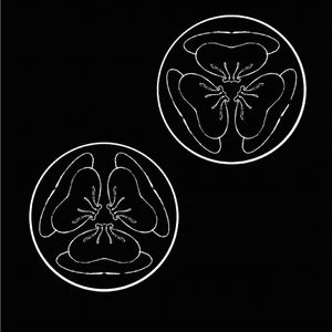 共享行业小狐导航
