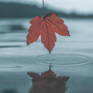 共享行业小狐导航
